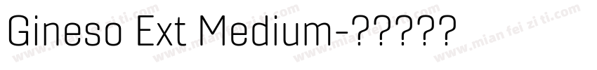 Gineso Ext Medium字体转换